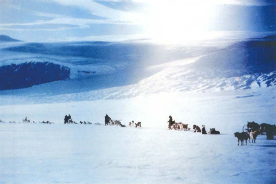 Georges De Giorgio American Antarctic Expedition Planes Dog Sled Teams